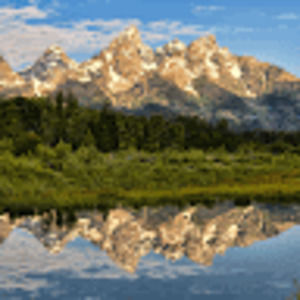 Meet your Posher, Madeline